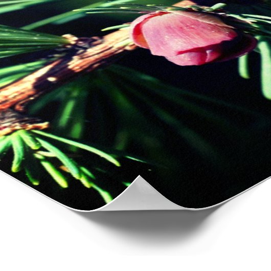 Miniatuur Pijnkegels Spiegel Abstract Poster (Hoek)