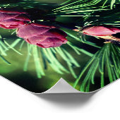 Miniatuur Pinecones Close Up Abstract Poster (Hoek)