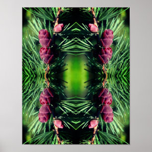 Miniatuur Pinecones Close Up Abstract Poster