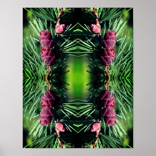 Miniatuur Pinecones Close Up Abstract Poster (Voorkant)