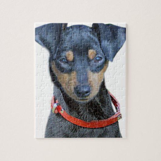 Miniatuur Pinscher Black en Brown Legpuzzel (Verticaal)