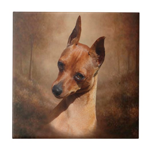 Miniatuur Pinscher Ceramic Photo Tile Tegeltje (Voorkant)
