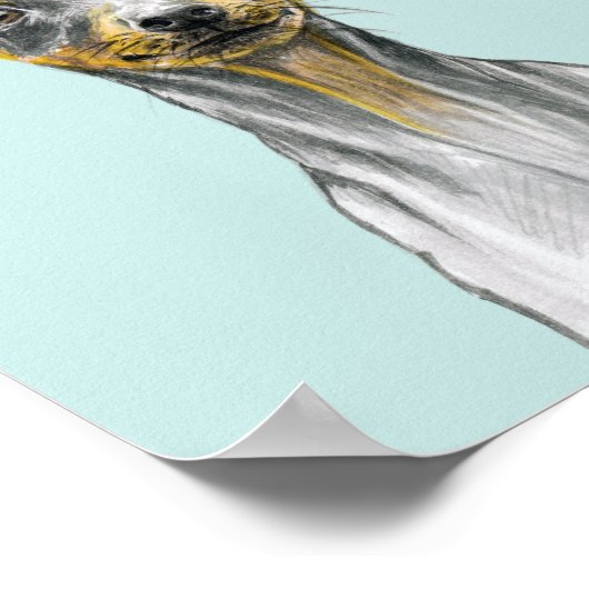 Miniatuur pinscher Dog portret Kute puppy love Poster (Hoek)