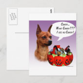 Miniatuur Pinscher Halloween Snoep Briefkaart (Voorkant / Achterkant)