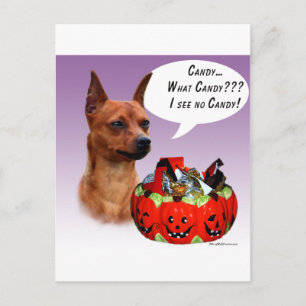 Miniatuur Pinscher Halloween Snoep Briefkaart