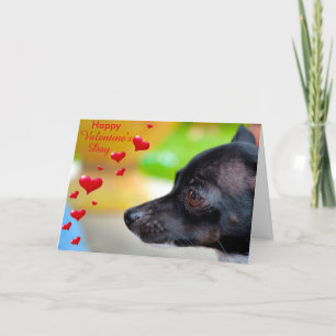 Miniatuur Pinscher Happy Valentijnsdag Kaart