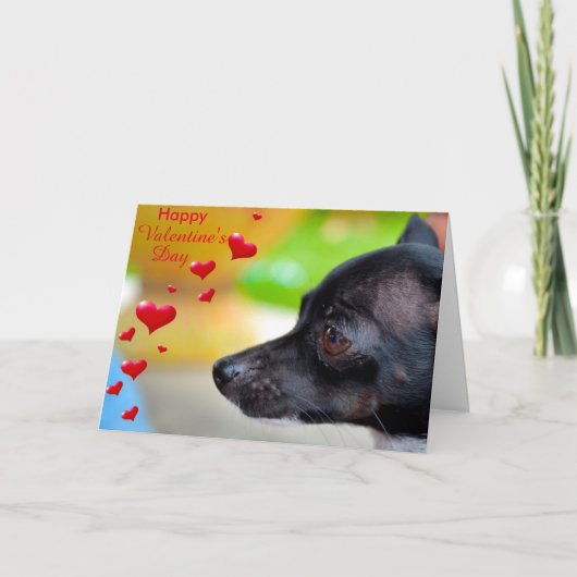 Miniatuur Pinscher Happy Valentijnsdag Kaart (Voorkant)