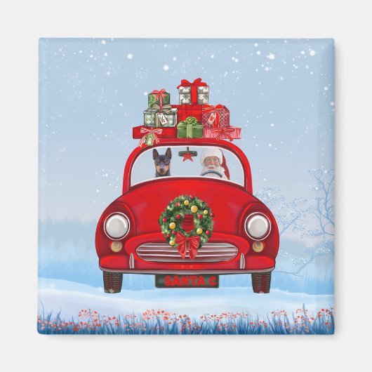 Miniatuur Pinscher-hond in auto met kerstman  Magneet (Voorkant)
