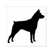 Miniatuur Pinscher Hondenras Silhouet Zelfinktende Stempel (Design)