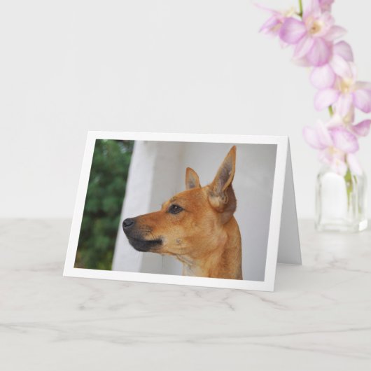 Miniatuur Pinscher Hoofdportret Kaart (Orchidee)