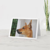 Miniatuur Pinscher Hoofdportret Kaart (Voorkant)