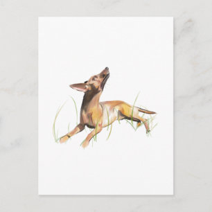 Miniatuur Pinscher kaart, Persoonlijk Briefkaart