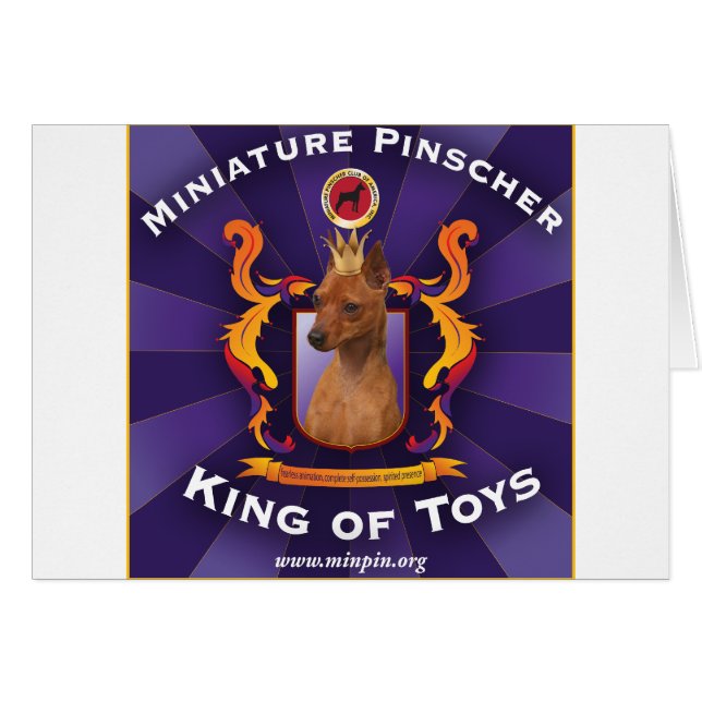 Miniatuur Pinscher: King of Toys (Voorkant Horizontaal)
