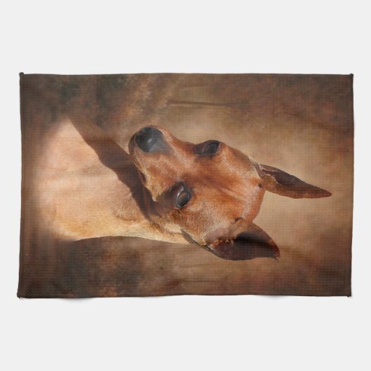 Miniatuur Pinscher Kitchen Towel Theedoek (Horizontaal)