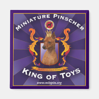 Miniatuur Pinscher, koning van speelgoed Magneet