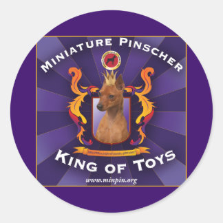 Miniatuur Pinscher, koning van speelgoed Ronde Sticker