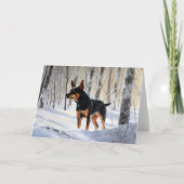 Miniatuur Pinscher Laat Het Sneeuw Kerstmis Kaart (Voorkant)