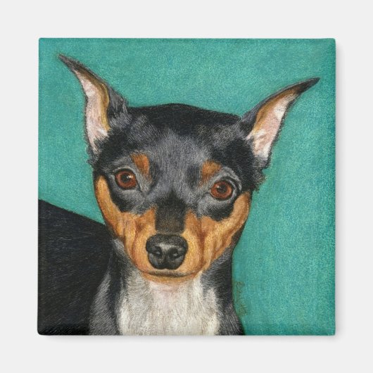 Miniatuur Pinscher Magnet (Voorkant)