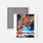 Miniatuur Pinscher Magnet (Voorkant / Achterkant)