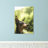 Miniatuur Pinscher (Min-Pin) 2 Canvas Afdruk (Insitu (Houten vloer))