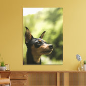 Miniatuur Pinscher (Min-Pin) 2 Canvas Afdruk (Insitu (Woonkamer))