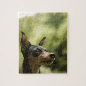 Miniatuur Pinscher (Min-Pin) 2 Legpuzzel (Verticaal)