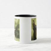 Miniatuur Pinscher (Min-Pin) 2 Mok (Midden)