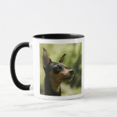 Miniatuur Pinscher (Min-Pin) 2 Mok (Links)