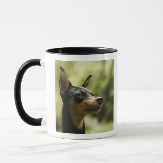 Miniatuur Pinscher (Min-Pin) 2 Mok (Links)
