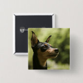 Miniatuur Pinscher (Min-Pin) 2 Vierkante Button 5,1 Cm (Voorkant /achterkant)