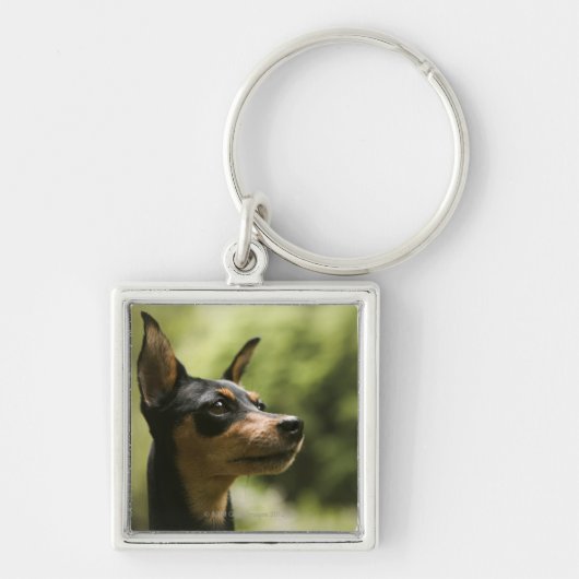 Miniatuur Pinscher (Min-Pin) Sleutelhanger (Voorkant)