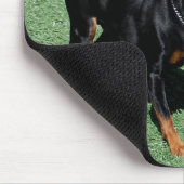 Miniatuur Pinscher-muisblok Muismat (Hoek)