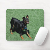 Miniatuur Pinscher-muisblok Muismat (Met muis)