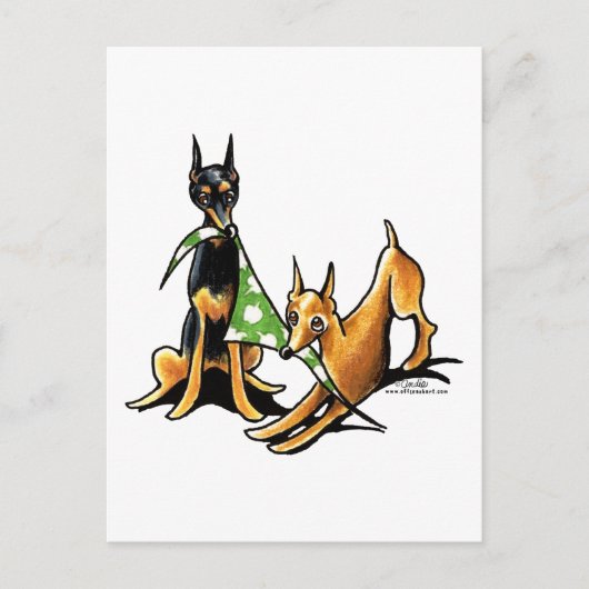 Miniatuur Pinscher n Apples Briefkaart (Voorkant)