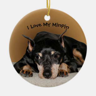 Miniatuur Pinscher, ook bekend als Min Pin met Pet Keramisch Ornament