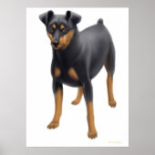 Miniatuur Pinscher Print (Voorkant)