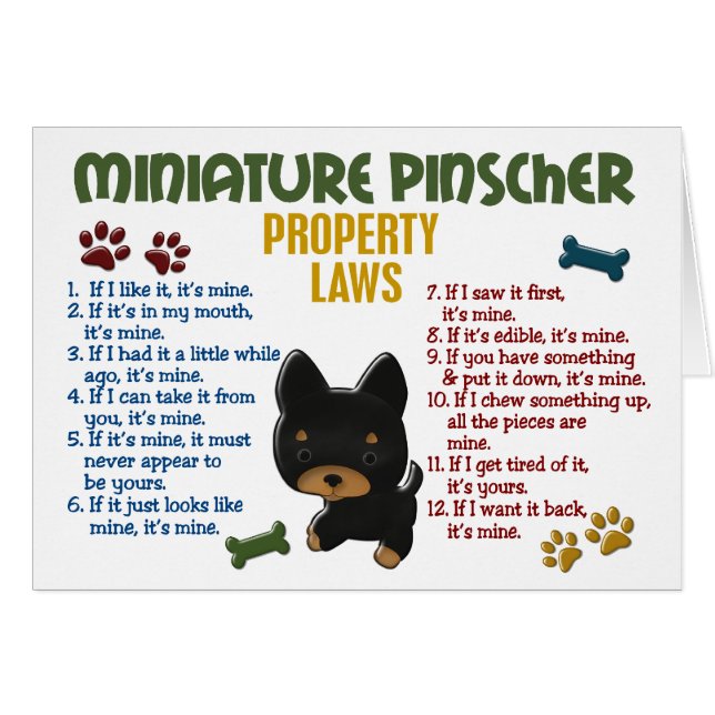 Miniatuur Pinscher Property Laws 4 (Voorkant Horizontaal)