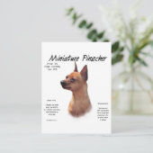 Miniatuur Pinscher (rood) Geschiedenisontwerp Briefkaart (Staand voorkant)