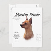 Miniatuur Pinscher (rood) Geschiedenisontwerp Briefkaart (Voorkant / Achterkant)