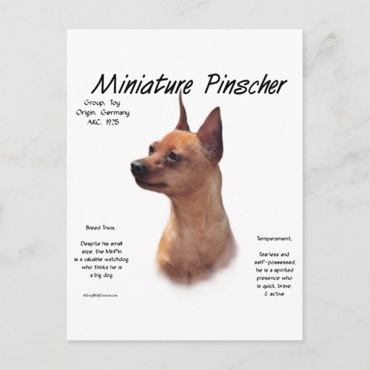 Miniatuur Pinscher (rood) Geschiedenisontwerp Briefkaart (Voorkant)