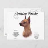 Miniatuur Pinscher (rood) Geschiedenisontwerp Briefkaart (Voorkant / Achterkant)