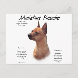 Miniatuur Pinscher (rood) Geschiedenisontwerp Briefkaart