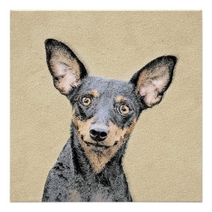 Miniatuur Pinscher-schilderkunst Poster