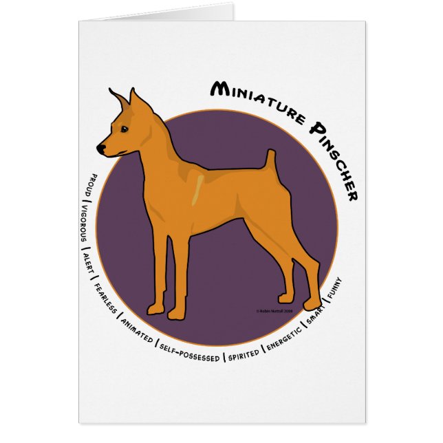 Miniatuur Pinscher, Stag Red (Voorkant)
