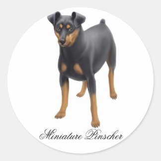 Miniatuur Pinscher Sticker