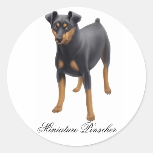 Miniatuur Pinscher Sticker (Voorkant)