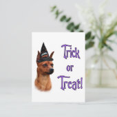 Miniatuur Pinscher Trick Briefkaart (Staand voorkant)