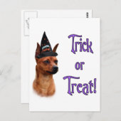 Miniatuur Pinscher Trick Briefkaart (Voorkant / Achterkant)