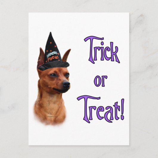 Miniatuur Pinscher Trick Briefkaart (Voorkant)