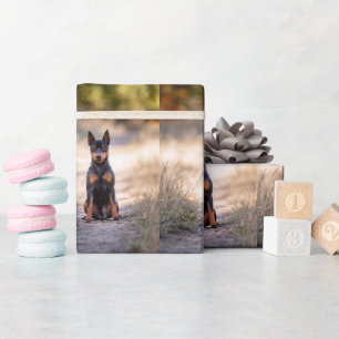 Miniatuur Pinscher Zittend Cadeaupapier